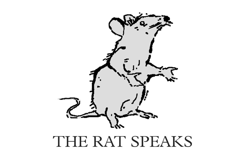 TR - The Rat